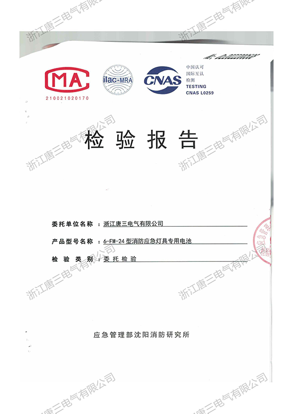 檢驗報告