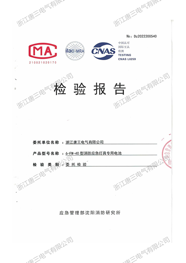 檢驗報告