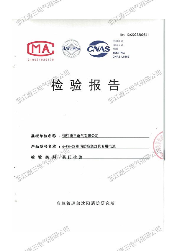檢驗報告